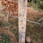 Крајпуташ Дмитру Батаковићу на Равном брду у Ојковици, Јасеново (фото Бојан Радојичић)