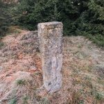 Крајпуташ Спасоју и Властимиру Јоцовићима на Равном брду у Ојковици, Јасеново (фото Бојан Радојичић)