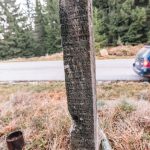 Крајпуташ Спасоју и Властимиру Јоцовићима на Равном брду у Ојковици, Јасеново (фото Бојан Радојичић)