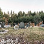 Писковића гробље у Ојковици, Јасеново (фото Бојан Радојичић)