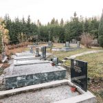 Писковића гробље у Ојковици, Јасеново (фото Бојан Радојичић)