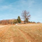 Гробље на у Ремовићима, Јасеново (фото Бојан Радојичић)