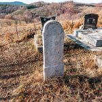 Споменик Раденку Петровићу на гробљу у Ремовићима, Јасеново (фото Бојан Радојичић)