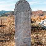 Споменик Раденку Петровићу на гробљу у Ремовићима, Јасеново (фото Бојан Радојичић)