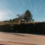 Тошића гробље у Ојковици, Јасеново (фото Бојан Радојичић)