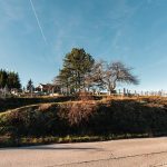 Тошића гробље у Ојковици, Јасеново (фото Бојан Радојичић)