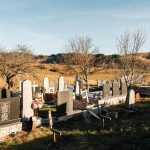 Тошића гробље у Ојковици, Јасеново (фото Бојан Радојичић)