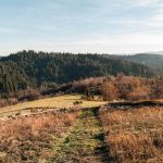 Гробље у Доловима у Трудову, Јасеново (фото Бојан Радојичић)