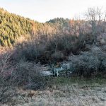 Гробље у Доловима у Трудову, Јасеново (фото Бојан Радојичић)