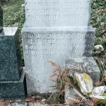 Споменик Драгомиру Младеновићу на гробљу у Доловима у Трудову, Јасеново (фото Бојан Радојичић)