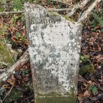 Споменик војнику Луковићу на гробљу у Доловима у Трудову, Јасеново (фото Бојан Радојичић)