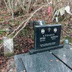 Споменик војнику Луковићу на гробљу у Доловима у Трудову, Јасеново (фото Бојан Радојичић)