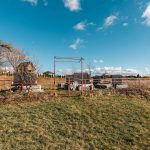 Гробље на потесу Главица у Комаранима, Акмачићи (фото Бојан Радојичић)