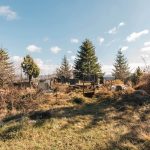 Гробље у Гомилицама, Комарани, Акмачићи (фото Бојан Радојичић)