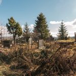 Гробље у Гомилицама, Комарани, Акмачићи (фото Бојан Радојичић)