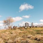 Секулића гробље у Комаранима, Акмачићи (фото Бојан Радојичић)