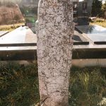 Споменик Војину Секулићу на Секулића гробљу у Комаранима, Акмачићи (фото Бојан Радојичић)