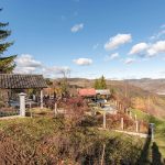 Тртовића гробље у Комаранима, Акмачићи (фото Бојан Радојичић)