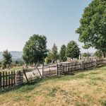 Гробље поред цркве у Негбини (фото Бојан Радојичић)