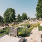 Гробље поред цркве у Негбини (фото Бојан Радојичић)