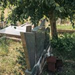 Споменик Авраму Ћурдићу на гробљу поред цркве у Негбини (фото Бојан Радојичић)