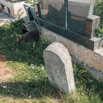 Споменик Драгутину Ћировићу на гробљу поред цркве у Негбини (фото Бојан Радојичић)