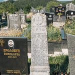 Споменик Рајку Браловићу на гробљу поред цркве у Негбини (фото Бојан Радојичић)