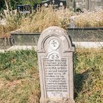 Споменик Бранку Ђенићу на гробљу поред цркве у Негбини (фото Бојан Радојичић)