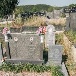 Споменик Рајку Кузељевићу на гробљу поред цркве у Негбини (фото Бојан Радојичић)