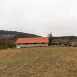 Гробље под Главицом у Негбини (фото Бојан Радојичић)