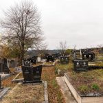 Гробље у Илићима, Негбина (фото Бојан Радојичић)