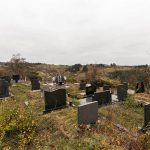 Гробље у Илићима, Негбина (фото Бојан Радојичић)