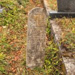 Споменик Луки Илићу на гробљу у Илићима, Негбина (фото Бојан Радојичић)