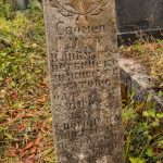 Споменик Луки Илићу на гробљу у Илићима, Негбина (фото Бојан Радојичић)