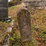 Споменик Луки Илићу на гробљу у Илићима, Негбина (фото Бојан Радојичић)