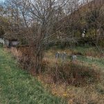 Крајпуташи Драгутину, Сави и Светиславу Лазићима у Биосци (фото Бојан Радојичић)