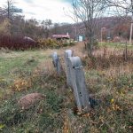 Крајпуташи Драгутину, Сави и Светиславу Лазићима у Биосци (фото Бојан Радојичић)