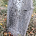 Крајпуташ Драгутину Лазићу у Биосци (фото Бојан Радојичић)