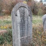 Крајпуташ Сави Лазићу у Биосци (фото Бојан Радојичић)