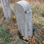 Крајпуташ Сави Лазићу у Биосци (фото Бојан Радојичић)