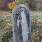 Крајпуташ Светиславу Лазићу у Биосци (фото Бојан Радојичић)