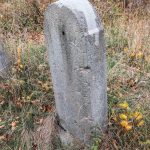 Крајпуташ Светиславу Лазићу у Биосци (фото Бојан Радојичић)