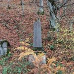 Спомен чесма Илији Радојевићу у Кремнима (фото Бојан Радојичић)