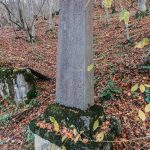 Спомен чесма Илији Радојевићу у Кремнима (фото Бојан Радојичић)