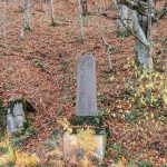 Спомен чесма Илији Радојевићу у Кремнима (фото Бојан Радојичић)