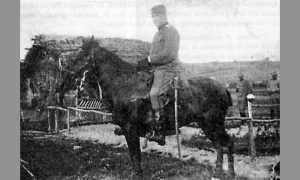 Стеван Арсић