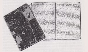 Дневник Стевана Арсића