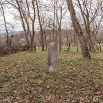 Крајпуташ Светозару Вукмановићу у Бранешцима (фото Бојан Радојичић)