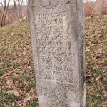 Крајпуташ Светозару Вукмановићу у Бранешцима (фото Бојан Радојичић)