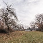 Гробље на потесу Вујовина у Бранешцима (фото Бојан Радојичић)